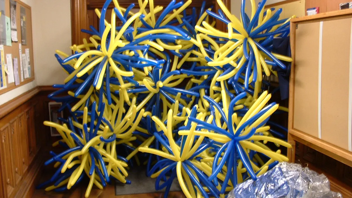 Blue and Yellow Balloon Bursts Ready for a School Colors Homecoming Large twisted balloon bursts in blue and yellow school colors stacked in a hallway before homecoming decorations go up